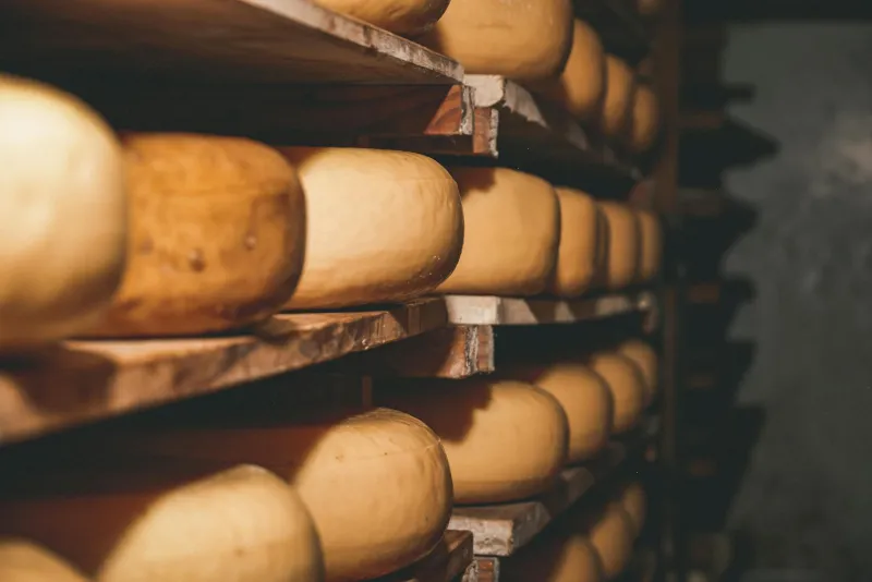 The Surplus Cheese Mountain That Accidentally Launched America's Health Food Revolution